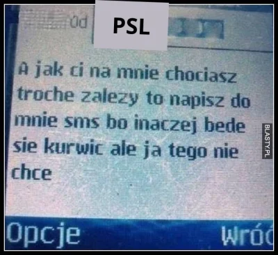 DocentJanMula - Hołownia pokazał smsy od Kosiniaka i Kamysza #polityka