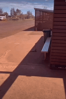 wfyokyga - Lagun się zgubił xd