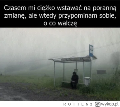 ROTTE_N - #heheszki #polska