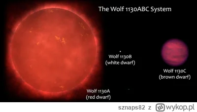 sznaps82 - Schemat potrójnego układu Wolf 1130ABC, składającego się z czerwonego karł...