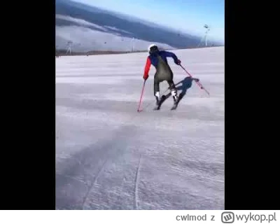cwlmod - Pytanie do doświadczony mirków. Jakie narty trzeba mieć byjechać w ten sposó...