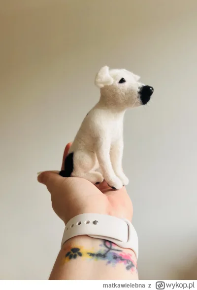 matkawielebna - @matkawielebna: