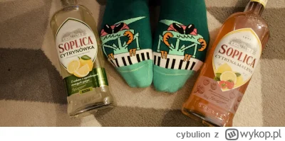 cybulion - #srodowanoc