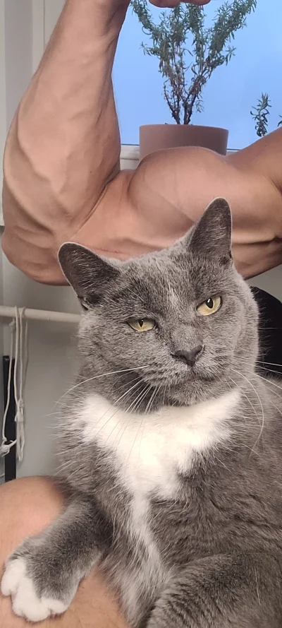 klefonafide - Jakaś k0tka klei się do mnie

#koty #pokazkota