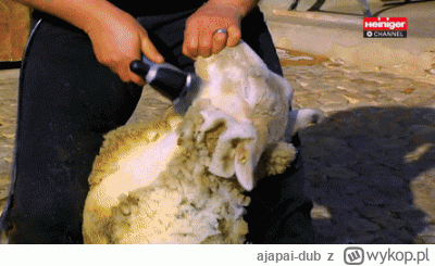 ajapai-dub - #danielmagical