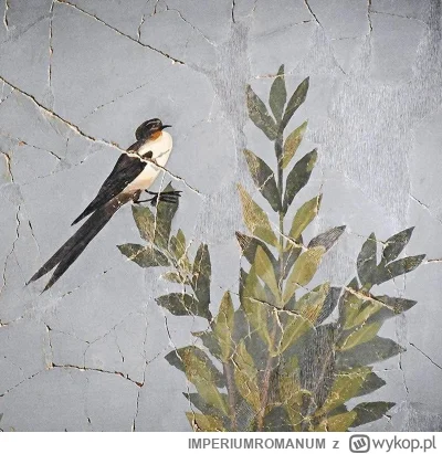 IMPERIUMROMANUM - Czarno-biały ptak na rzymskim fresku

Czarno-biały ptak na rzymskim...