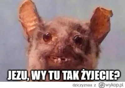 dziczyznaa - @saviola7  @Poldek0000