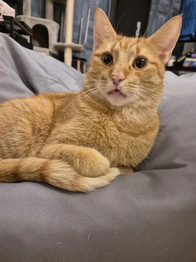 Doleginho - @Zmorka: