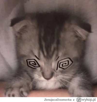 ZenujacaDoomerka - Śpiączka po zjedzeniu gnocchi