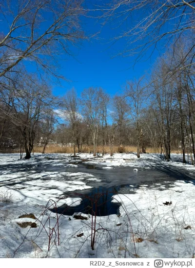 R2D2zSosnowca - @R2D2zSosnowca 2