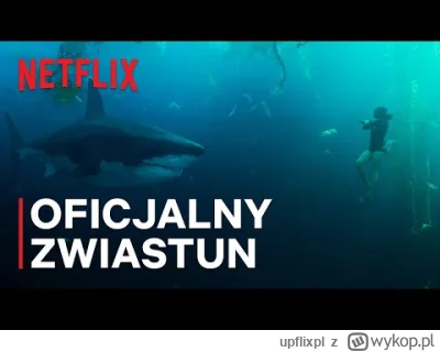 upflixpl - Rekiny w Sekwanie | Zwiastun nowego thrillera Netflixa

Polski oddział N...