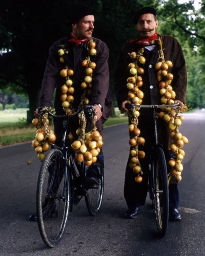 skrogg - Dzień dobry.