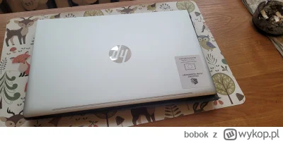 bobok - O tak wygląda laptop #kpo