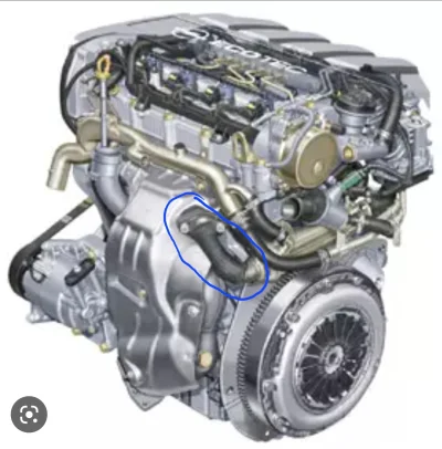 LeopoldStaff - Mirki,
Co to jest za wąż?
Silnik 1.9 CDTI

#motoryzacja #mechanikasamo...