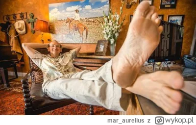 mar_aurelius - #wladcapierscieni Baggins w obecnych czasach, też chodzi bez butów :)