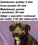 Arbuzlele - #heheszki #humorobrazkowy #takaprawda