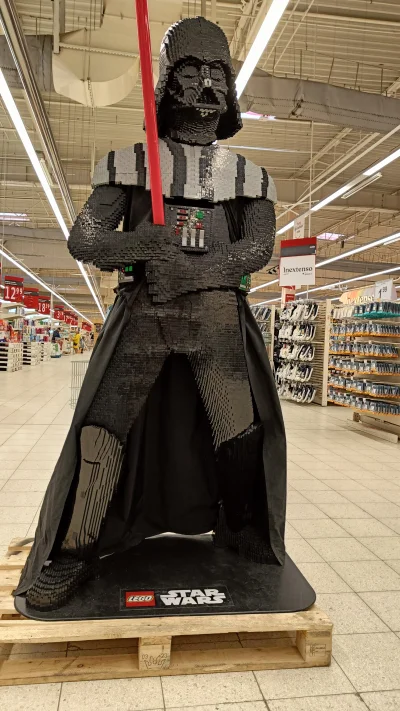dzieju41 - Auchan Szczecin Kołbaskowo, taka postać wita nas w sklepie.
#auchan #szcze...