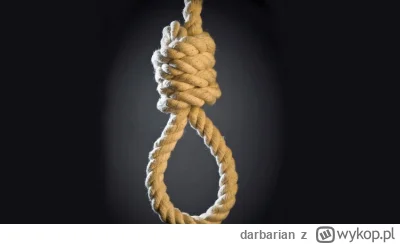 darbarian - Proponuję podatek od polityków walących w wuja w formie