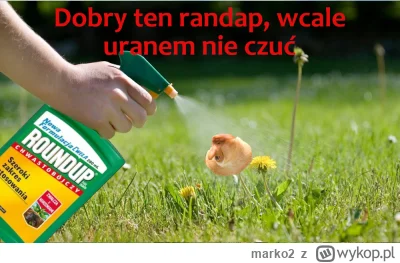 marko2 - #konkursnanajbardziejgownianymemznosaczem