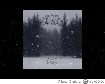 Pijany_Druid - #przegryw Muzyka na dzisiejszy, zimowy #spierdotrip (。◕‿‿◕。)