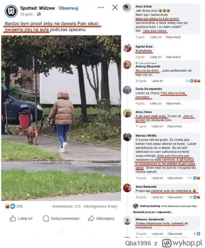 Qba1996 - #psiarze #bekazpodludzi #patologiazewsi #patologiazmiasta