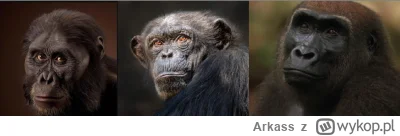 Arkass - @Zopyross: IMO:
Wystarczy popatrzeć na morfologię australopiteka (przodka ho...