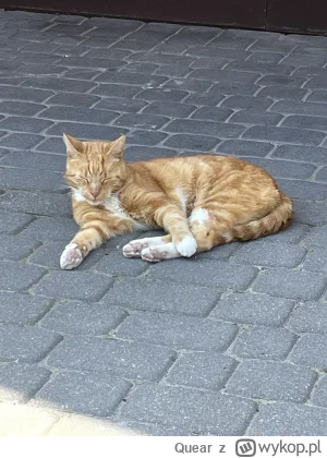 Quear - smutne ze jakos od 8 lat wiedzialam co chce robic w zyciu i na jaki kierunek ...