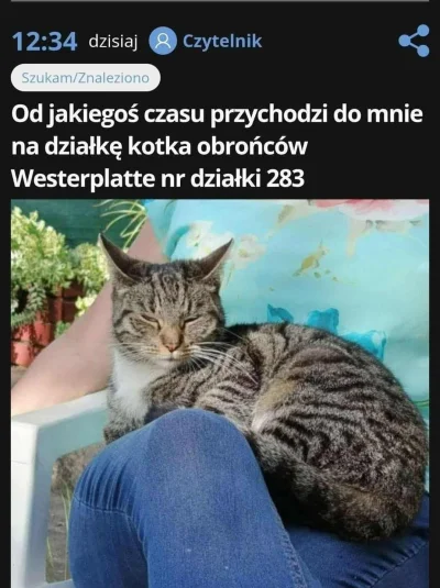 Chorazy_Torpeda - Kotka, wabi się Obrońców Westerplatte nr działki 283.

#pokazkota #...