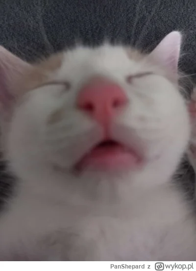 PanShepard - Inni do roboty a ja do spania, takie to życie ciężkie.
A tak serio to do...