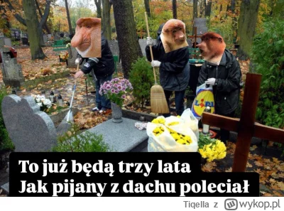 Tiqella - #1listopada #humorobrazkowy