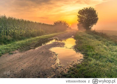 vitoosvitoos - Chłop se pstryknął.