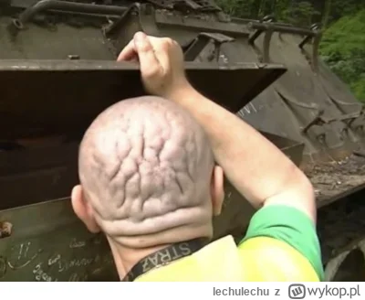 lechulechu - Mózg na wierzchu, można operować

#kononowicz #patostreamy