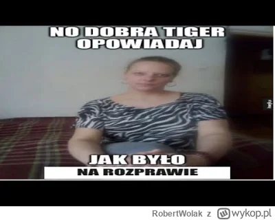 RobertWolak - #bonzo Zapraszam do oglądania nowego odcinka poświęconego dramie Tigera...