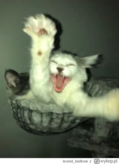 leonid_bialkow - AAAAAAAAAAAAAAAAAAAAAAAAAAAAAAAAAAAAAAAAAAAA