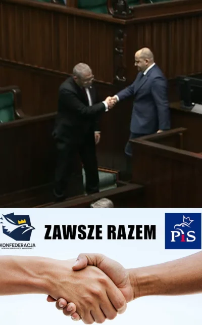 JPRW - #sejm #bekazkonfederacji #heheszki #konfedepis #tvpis #polityka