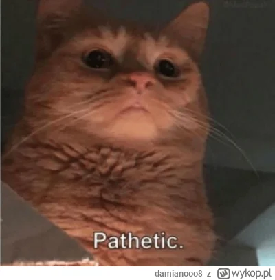 damianooo8 - #sebcel

Rok temu trafiłem na tag i pierwsze co napisałem "czemu on gada...