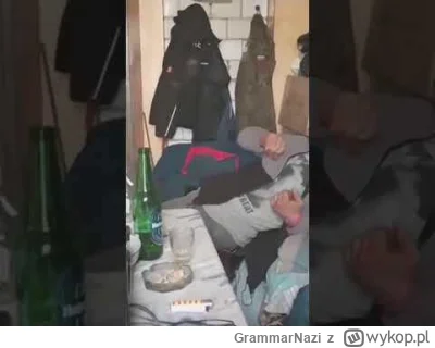 GrammarNazi - @ShineLow