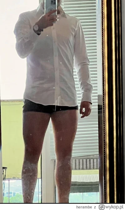 herambe - Pewnie się zastanawiasz, dlaczego założyłem koszulę przed butami