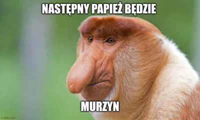 CybernetycznyMozgKorwina - #papiez  #konklawe #januszcore