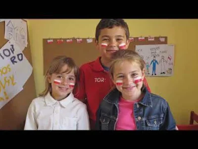 wigr - Obejrzałem audycje komitetów wyborczych wszystkich kandydatów na prezydenta. Z...