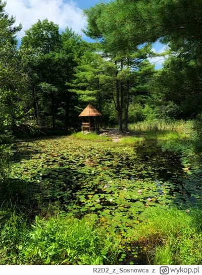 R2D2zSosnowca - @R2D2zSosnowca ʕ•ᴥ•ʔ