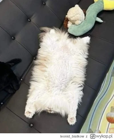 leonid_bialkow - prostokot