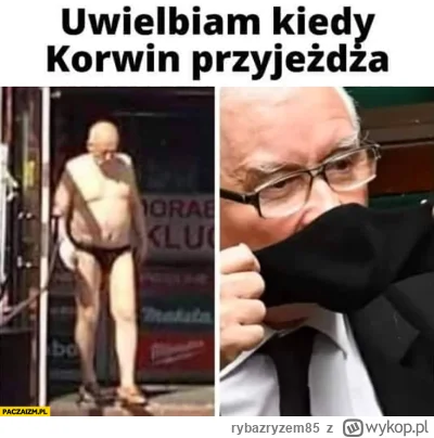 rybazryzem85 - #heheszki #bekazprawakow #bekazpisu #f----z #korwin #polityka