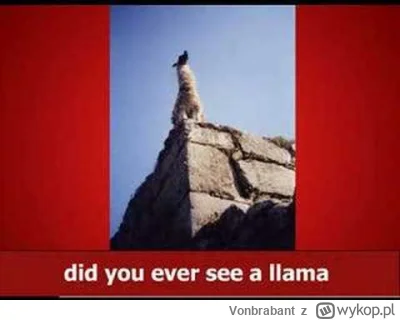 Vonbrabant - @derivatives: lama