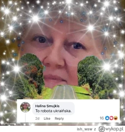 ish_waw - Komentarz do artykułu o rosyjskim ataku dronowym na Polskę

#polskieonuce