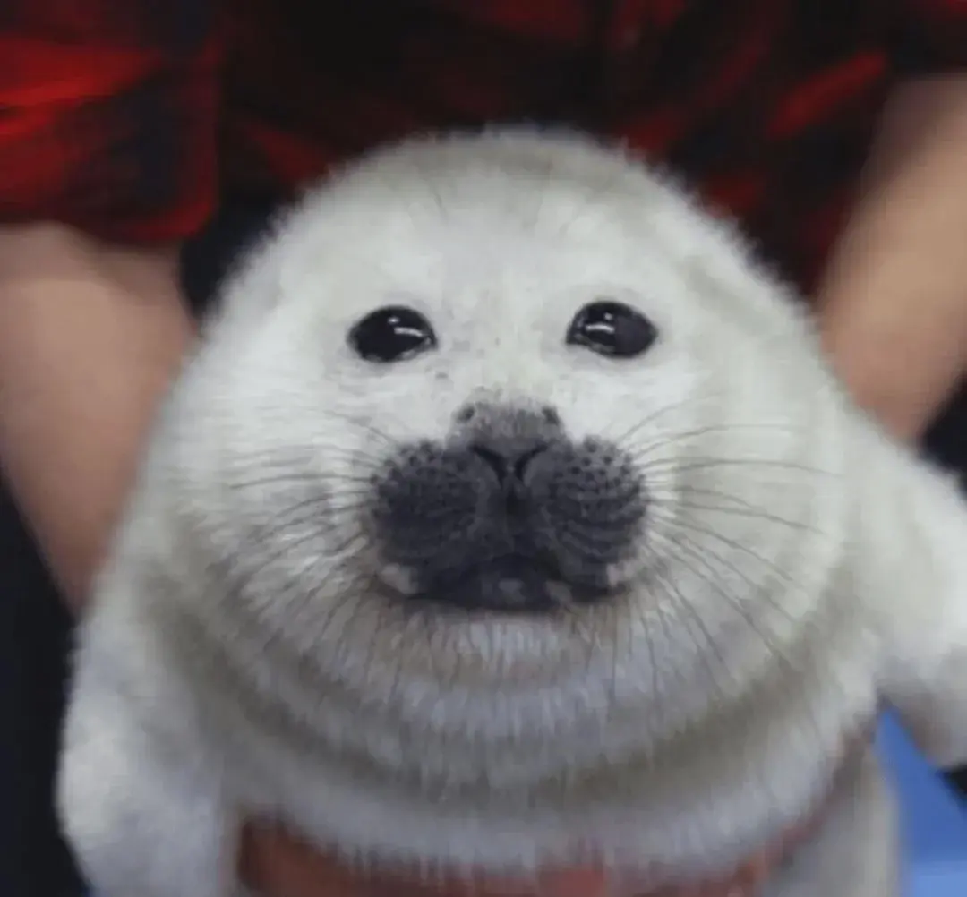 tomasz_mazur - Przeciętny użytkownik tagu

#przegryw