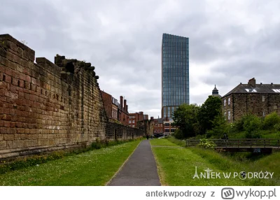 antekwpodrozy - Newcastle upon Tyne jest miastem położonym na wschodnim wybrzeżu Angl...