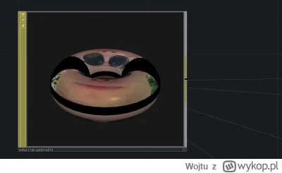 Wojtu - @starypijany96 https://streamable.com/5cujvs