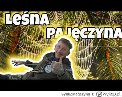 SynuZMagazynu - o ktoś sieć na drzewie wymyślił, charlies_webs to też król pajęczyn #...