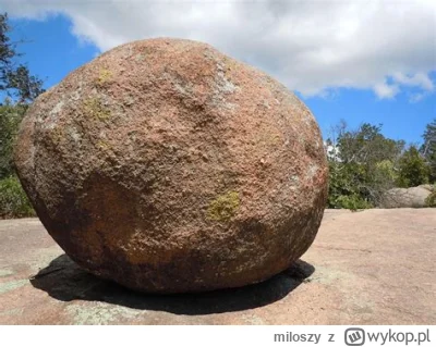 miloszy - #kiszak 
"każdemu się kiedyś chlapnęło do herbaty, tylko nie każdemu się to...